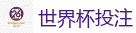 2026世界杯 (FIFA WorldCUP)中国竞彩指定网站
